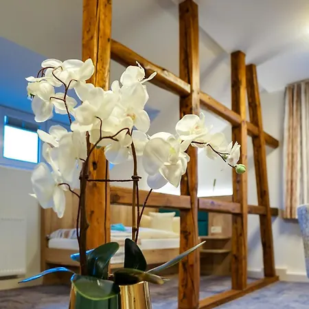 Frieden & Seminarhaus Hotel